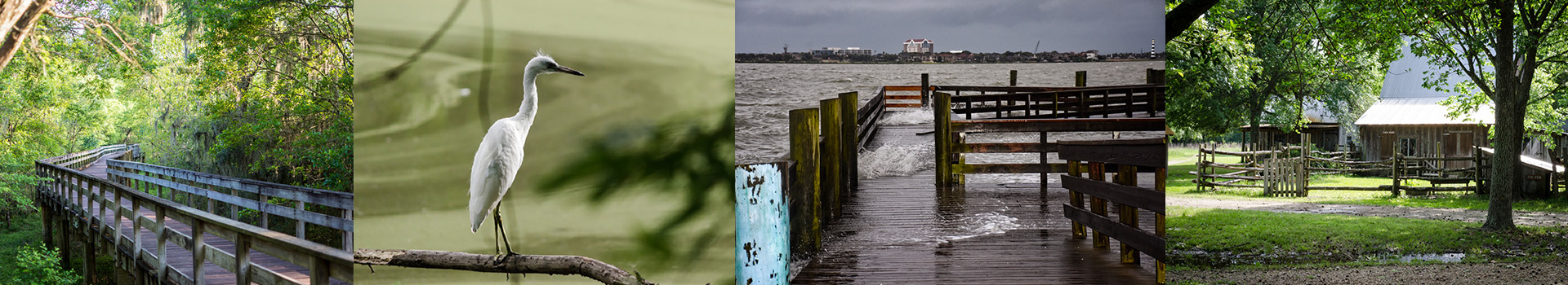 Photography at Durwin Randle's Blog